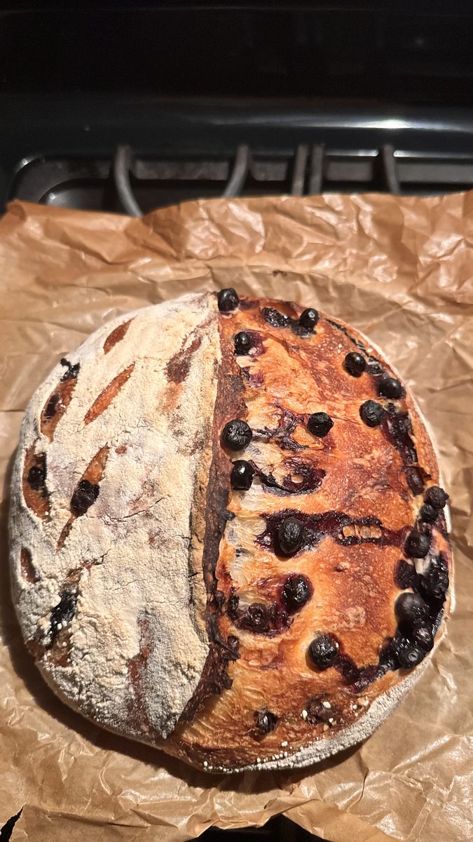 Blueberry sourdough boule with visible blueberries on parchment paper